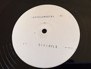 THE DIVINYLS - - TEMPERAMENTAL - - Rare 1988 Test Press 12