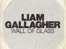 LIAM GALLAGHER DEBUT 7