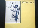 Joy Of Life - Enjoy, Vinyl, LP, Gothic, Post Punk, Cold Wave