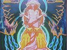Hawkwind ?Space Ritual 2LP 1978 original US fold-out cover NM