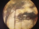 GOLDEN VOID - Berkana - Vinyl (limited LP + MP3 download code)