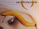 A PERFECT CIRCLE - Thirteenth Step - Vinyl (2xLP)
