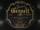 78 RPM -- Ben Jarrell (Da Costa Woltz's So. B'casters), Gennett 6164, V+ Country
