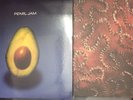 Pearl Jam Self Titled (Avocado) 2 LP Blue Vinyl Pressing