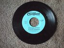 ROZETTA JOHNSON 45 CLINTONE OO8 PERSONAL WOMAN - HOW CAN YOU LOSE SOMETHING YOU