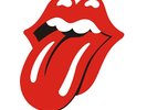 1 OU 2 PLACE CONCERT THE ROLLING STONES FOSSE OR