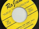 RARE ORIGINAL JAMES BELL & HIGHLIGHTERS AMAZING LOVE NORTHERN SOUL MONSTER FUNK