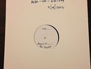 Hot Water Music - Never Ender TEST PRESSING No Idea Records
