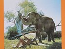 Hugh Masekela, 'I Am Not Afraid', LP, Blue Thumb 1974