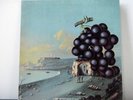 MOBY GRAPE LP Wow 1968  Columbia 360 stereo original skip spence psych