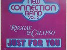 NEW CONNECTION BAND VOL 2 Just For You Canadian ISLAND FUNK SOUL LP Rare Listen