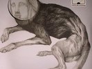 THEE OH SEES - Putrifiers II EP - Vinyl (LP + MP3 download code)