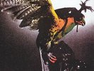 Budgie - In for the Kill
