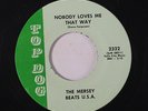 MERSEY BEATS U.S.A.: Nobody Loves Me That Way / 30 Second Lover 45 (1967 Shivel