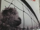Vs. [LP] by Pearl Jam (Vinyl, Oct-1993, Epic Associated)