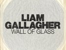 Liam Gallagher wall of glass 7