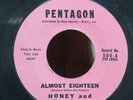 HONEY AND THE BEES (ALMOST EIGHTEEN B/W PLEASE GO AWAY)