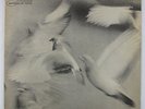 Donald Byrd - Free Form LP - Blue Note - BST 84118 Stereo RVG NY USA VG+