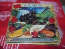 Luciano Ligabue  Lambrusco coltelli rose & pop corn  WEA 9031  75269 - 1