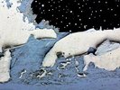 Jessica Moss - Pools Of Light Vinyl LP Constellation NEU