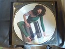 KATE BUSH PICTURE DISC - The Kick Inside