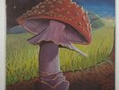 Mushroom 