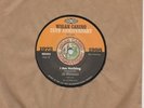 Al Williams / Lester Tipton - I Am Nothing / This Wont Change - Wigan Casino Ann