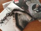 Aborted Strychnine.213 Ltd LP