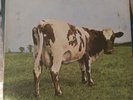 Original Pink Floyd Atom Heart Mother Vinyl