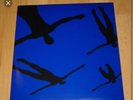 Muse Absolution album sampler new vinyl VERY RARE PROMO