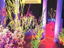 Husker Du-Warehouse  (UK IMPORT)  VINYL NEW