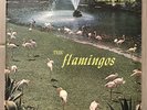 THE FLAMINGOS 1st ALBUM ORIGINAL 1959 VINYL CHECKER MONO LP 1433 *VERY RARE*