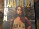 Lana Del Rey - Born to Die: Paradise Edition (Boxset - Unopened)