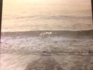 COPELAND Ixora First Pressing White Vinyl LP - Rare Bundle
