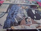 Brian Eno LP Here come the warm jets UK Pink island rim 1st press VINYL N/MINT
