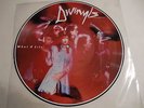 Divinyls / What A Life  /  Rare Picture Disc 12