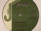 WAILING SOULS/ROBERT LEE - Stormy Night - Vinyl (12
