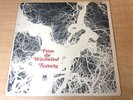 EX/EX   Strawbs/From The Witchwood/1971 A&M Gatefold LP
