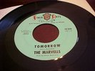 THE MARVELLS-FINE ARTS #2026  