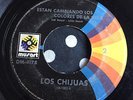 Los Chijuas ?– Estan Cambiando Los Colores De La Vida Psych garage classic HEAR