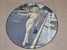 MADONNA picture disc RARE MOMENTS VOL 5