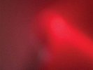 The Incessant (LP) - MEAT WAVE [LP]