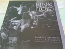 Pink Floyd-Embryo's growing at the Playhouse