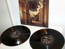 Porcupine Tree: Signify - 12