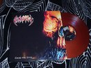 Sinister ?– Cross The Styx Red/Clear Vinyl Death Metal Asphyx Altar