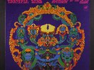 GRATEFUL DEAD: Anthem Of The Sun LP (grommet, 1c dead wax variation, disc has j