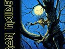 Iron Maiden - Fear Of The Dark [2LP] (180 Gram, gatefold) 2017 double vinyl