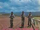 The Pioneers - Long Shot