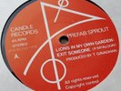 PREFAB SPROUT Lions in my own garden 7