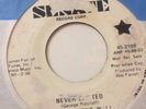 RARE GARAGE PROMO 45/ THE BASEMENT WALL 
